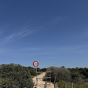 Naturschutzgebiet Can Pastilla