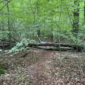 B206 Parkplatz Basten