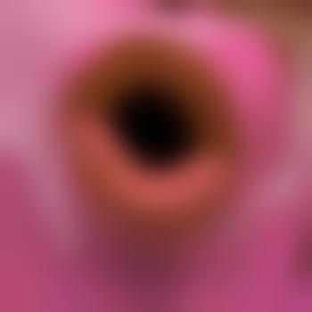 gay-3605