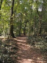 Sieglarer See / Rotter See