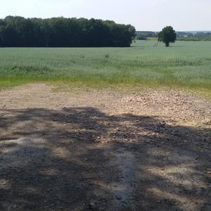 Schwarze Katz bei Reichenbach