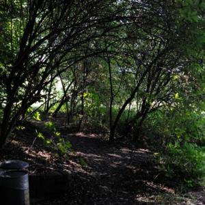 Luitpoldpark/Scheidplatz