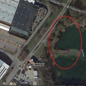 Am Rolusee neben Globus Baumarkt