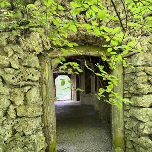 Dischingen Englischer Wald