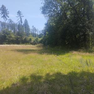 Alter Sportplatz Roland