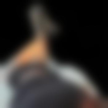 transxxxLisaxxx