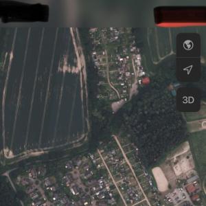 Küsterholz