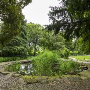 Seerosenteich