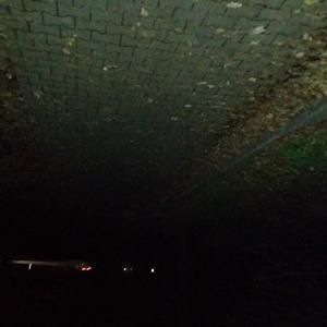 Waldparkplatz Zwischen Walldorf und Sandhausen