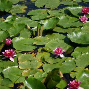 Mitfahrerparkplatz A61 Abfahrt Waldlaubersheim