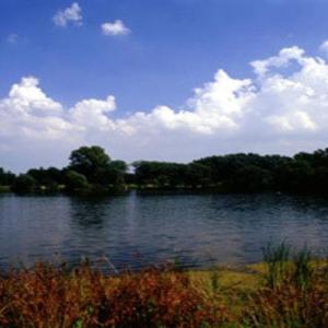 Bullenwiese