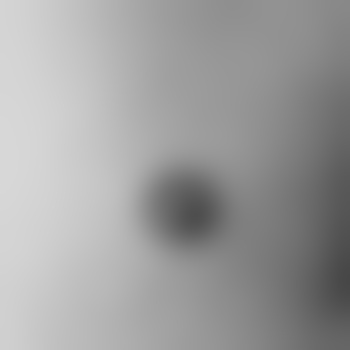 Nachtfalke-6638