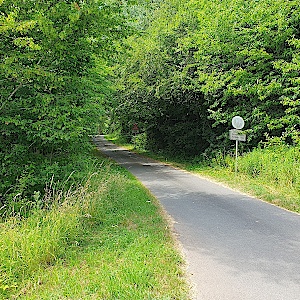 Bewinger Berg