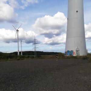 Windrad b41 gegenüber erdbeerland