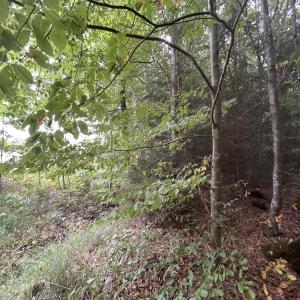 Pendlerparkplatz Seeshaupt