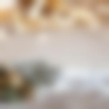 Plauener26001