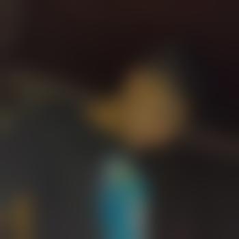ridi_