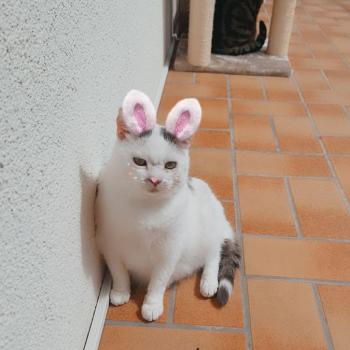 Psycho_Prinzessin