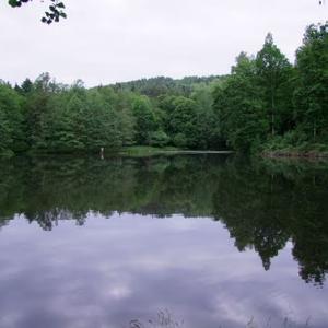 Fischbacher Teiche-Neustadt bei Coburg