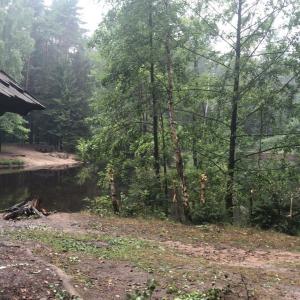 Dresdner Heide