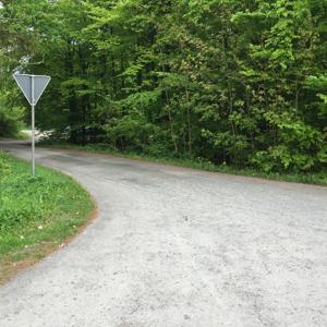 Waldparkplatz Bad Driburg Alter Stellberg