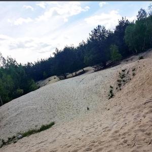 Kiesgrube Roßlau/Meinsdorf