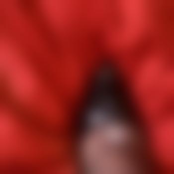 Nylons_First