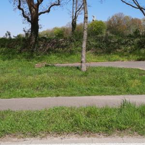 Kastenbockwindmühle