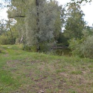 Ampermoching, Baggerseen beim Kieswerk