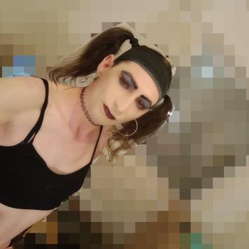 Transdwt23