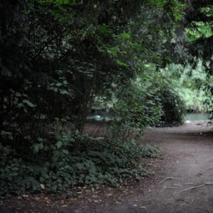 Engl. Garten Lerchenfeldstr.