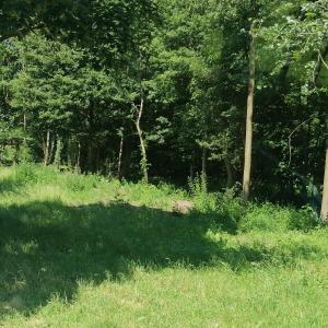 Parkplatz Dätgen Ost A7