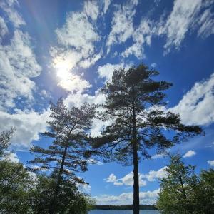 Baggersee Mittelgrund/Leopoldshafen