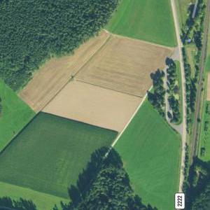 Zwischen Frickenfelden und Gunzenhausen