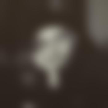 Der_Lustmolch