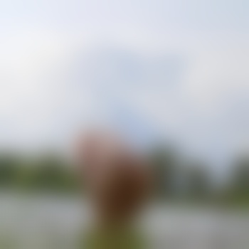 Hotpaar1004