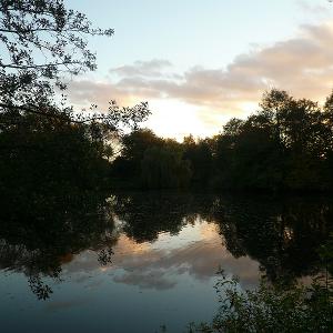 Bürgerfelder Teich - ein schöner Ort am Wald...