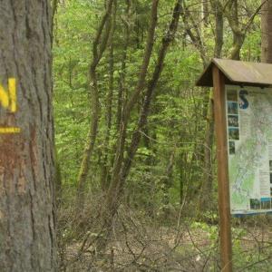 Undeloh FKK Naturisten Wanderweg