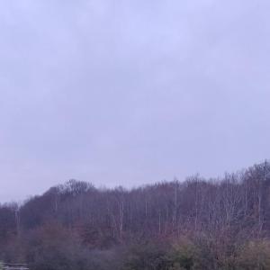 Rastplatz Potzberg A62