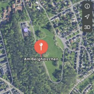 Wald am Berghölzchen