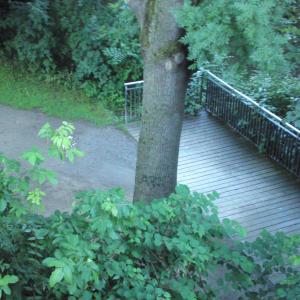Leine Rad- und Fußweg, Franz-Mock-Weg / Dreyerstr.