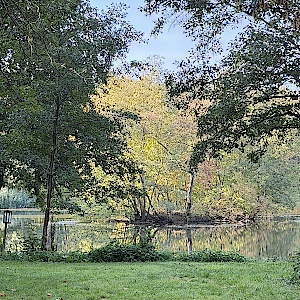 Ronshäuser See