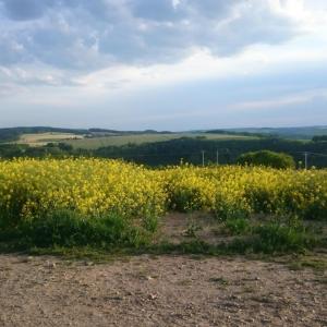 Schöne Aussicht