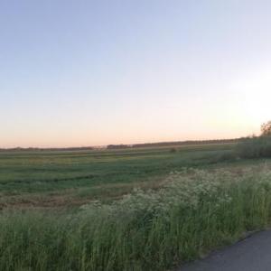 Moorhausen Huntewiesen