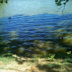 Seberak Lake