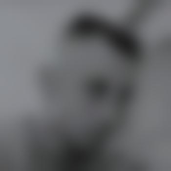 brandenburg-an248196