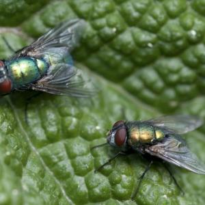 Erotische Telefonkontakte