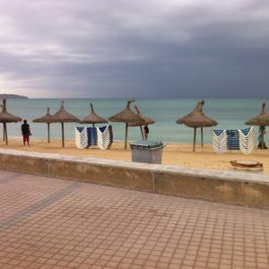 Blaulsang Baggerse bei Straßburg