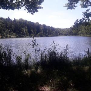 Bachsee / Neuehütte