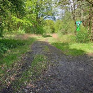 Warendorf Richtung Füchtorf